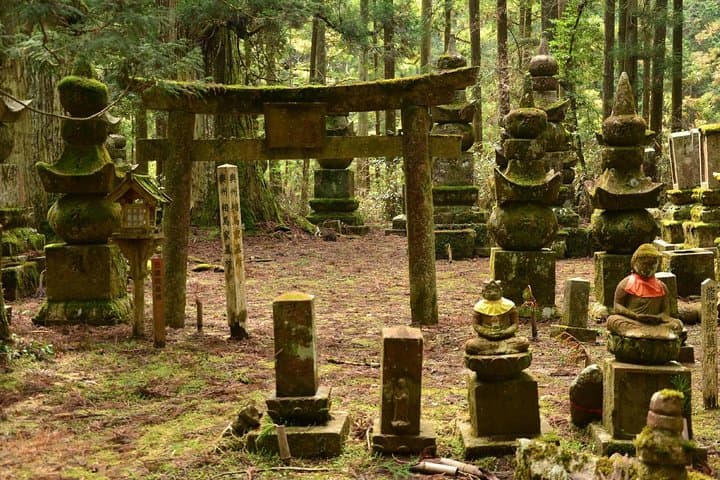 Mt. Koya Sacred 4hr Private Tour with Government Licensed Guide — photo 8