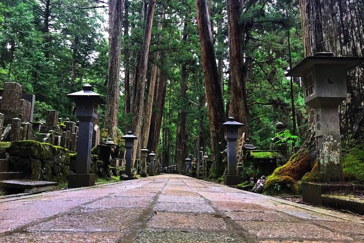 Mt. Koya Sacred 4hr Private Tour with Government Licensed Guide — photo 10