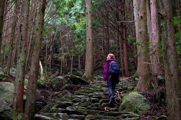 Kumano Kodo Pilgrimage Full-Day Private Trip with Government Licensed Guide — photo 3