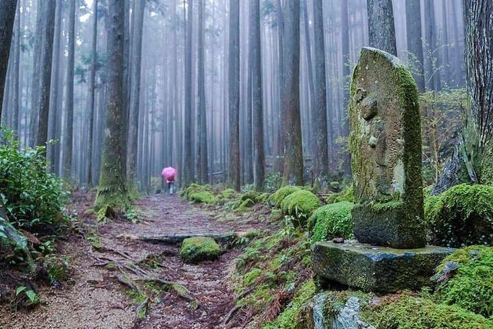 Kumano Kodo Pilgrimage Full-Day Private Trip with Government Licensed Guide — photo 4