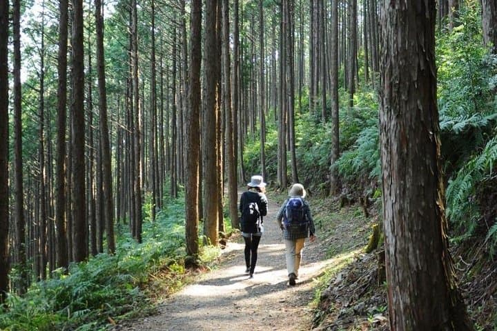 Kumano Kodo Pilgrimage Full-Day Private Trip with Government Licensed Guide — photo 6
