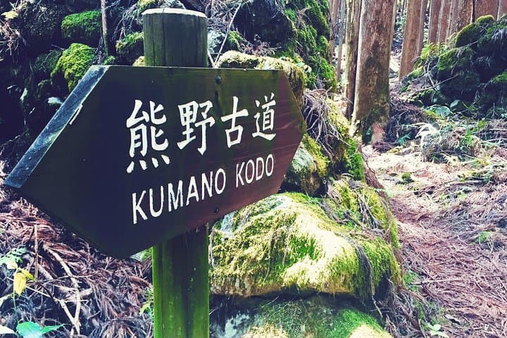 Kumano Kodo Pilgrimage Full-Day Private Trip with Government Licensed Guide — photo 7