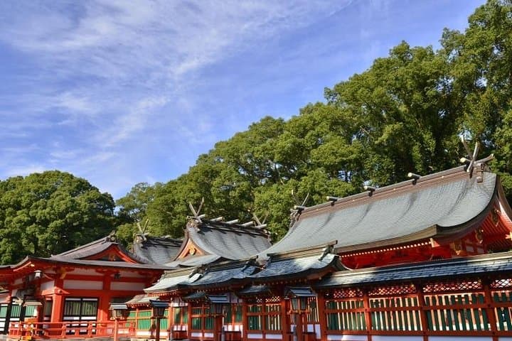Kumano Kodo Pilgrimage Full-Day Private Trip with Government Licensed Guide — photo 8