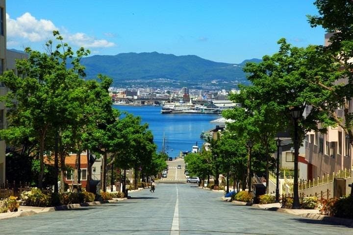 Hakodate 4hr Private Tour with Government-Licensed Guide — photo 8