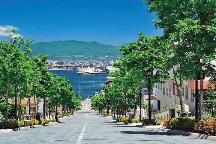 Hakodate 4hr Private Tour with Government-Licensed Guide — photo 9
