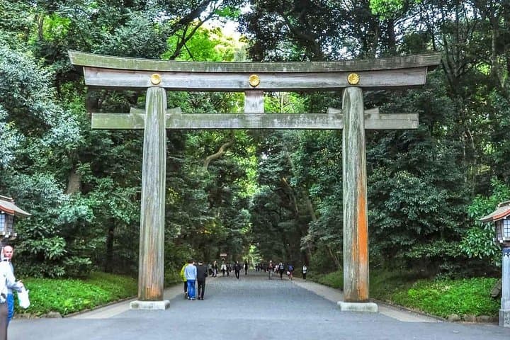 Tokyo Private Day Trip - Enjoy Your First-Time Visit to Tokyo! — photo 7