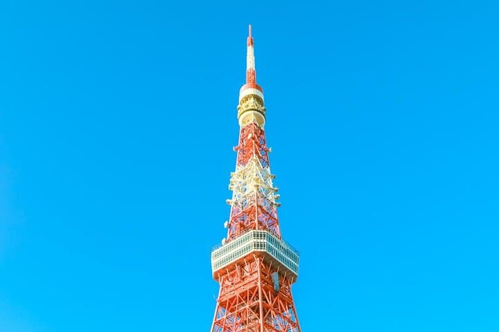 Tokyo Private Day Trip - Enjoy Your First-Time Visit to Tokyo! — photo 5