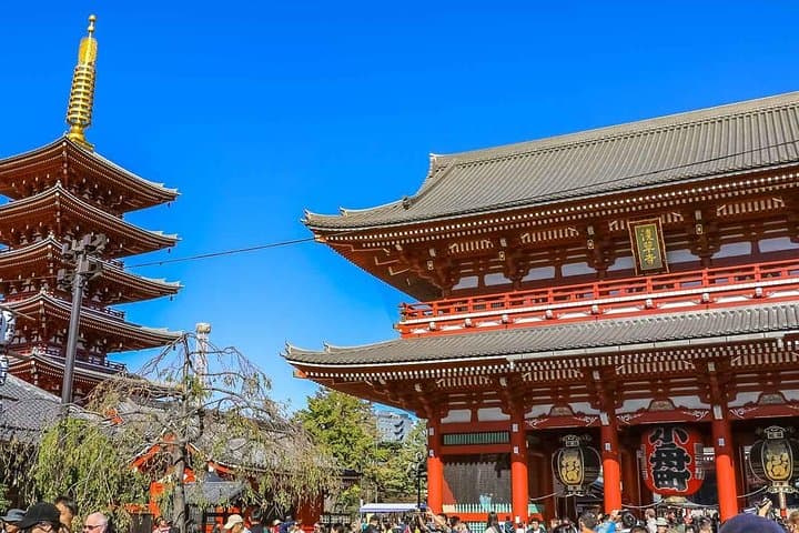 Tokyo Private Day Trip - Enjoy Your First-Time Visit to Tokyo! — photo 8
