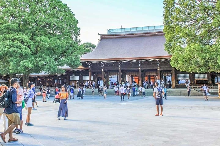 Tokyo Private Day Trip - Enjoy Your First-Time Visit to Tokyo! — photo 11