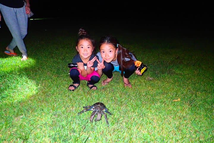 Okinawa Iriomotejima Night Adventure Tour — photo 5