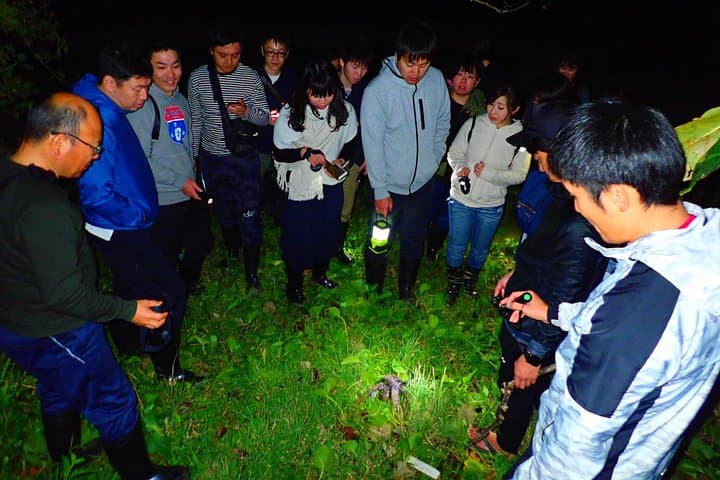 Okinawa Iriomotejima Night Adventure Tour — photo 4