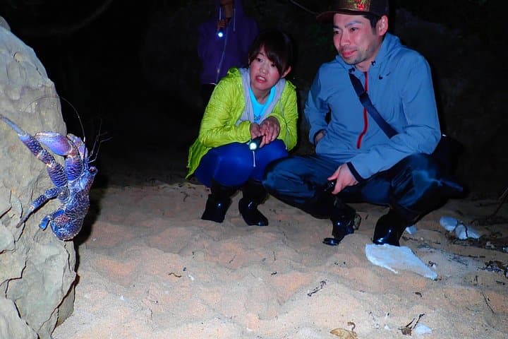 Okinawa Iriomotejima Night Adventure Tour — photo 8