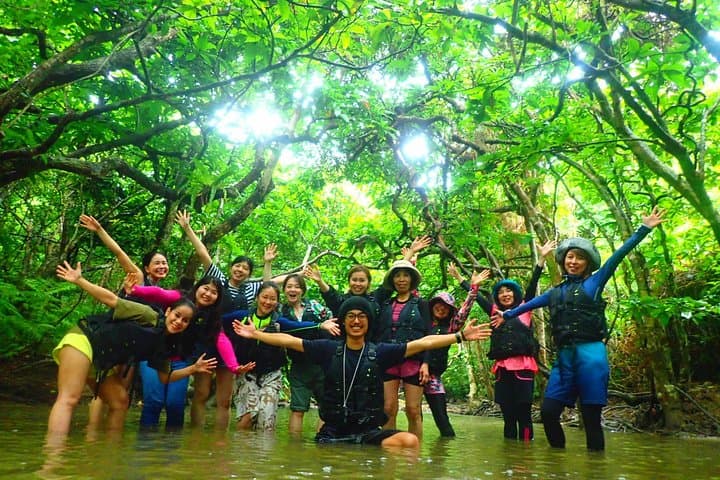 Okinawa Iriomote Mangrove SUP or Canoe Tour — photo 14