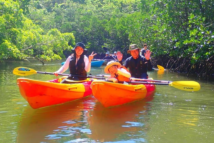 Okinawa Iriomote Mangrove SUP or Canoe Tour — photo 12