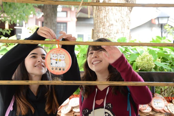 2.5 Hour-Guided Cycle Tour in the Central Tokyo — photo 12
