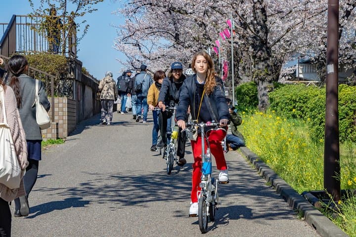 2.5 Hour-Guided Cycle Tour in the Central Tokyo — photo 7