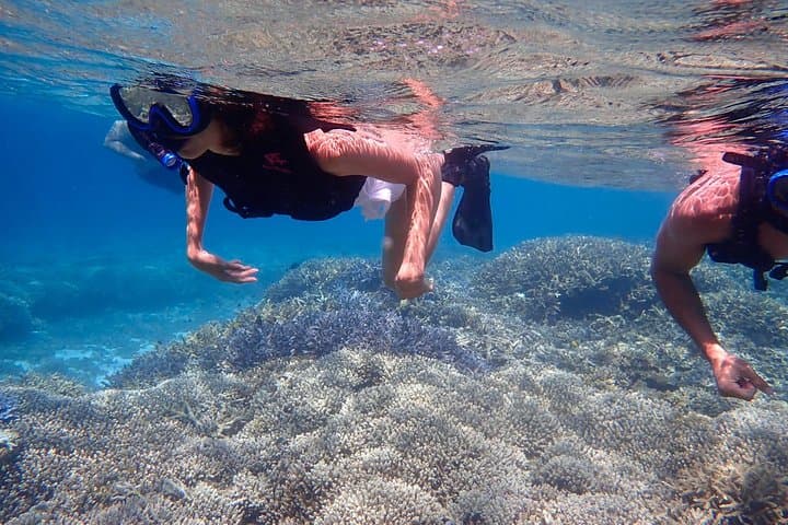 Okinawa Iriomote Snorkeling Tour at Coral Island — photo 19