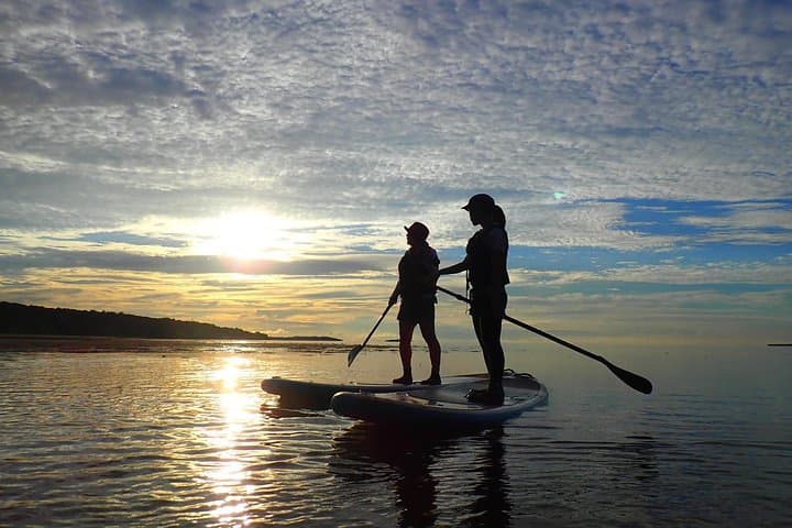 Okinawa Iriomote Sunset SUP or Canoe Tour in Iriomote Island — photo 14