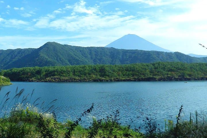 Experience the Stunning Nature of Mt.Fuji - Private Tour — photo 12
