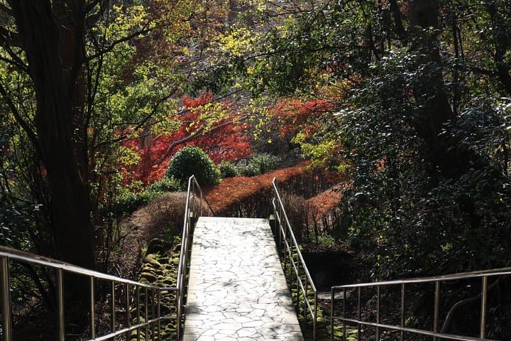 One day Hike, Thrilling Mt. Nokogiri & Giant Buddha — photo 9