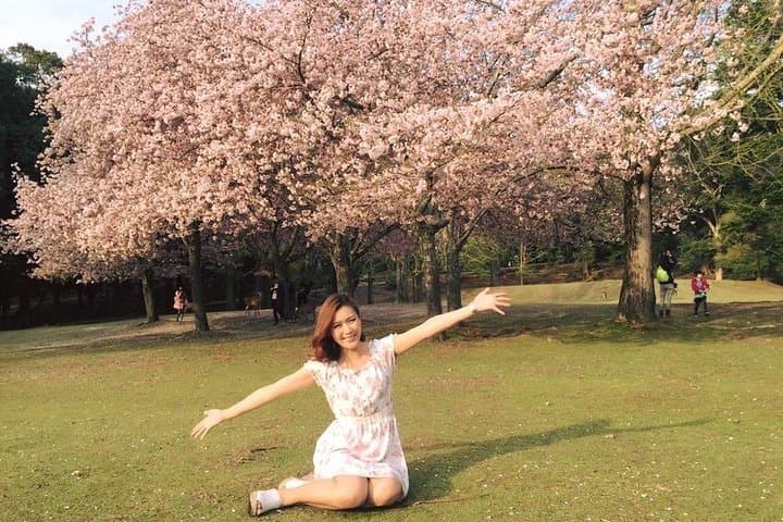NARA Walking Tour [Customize Your Itinerary] — photo 9