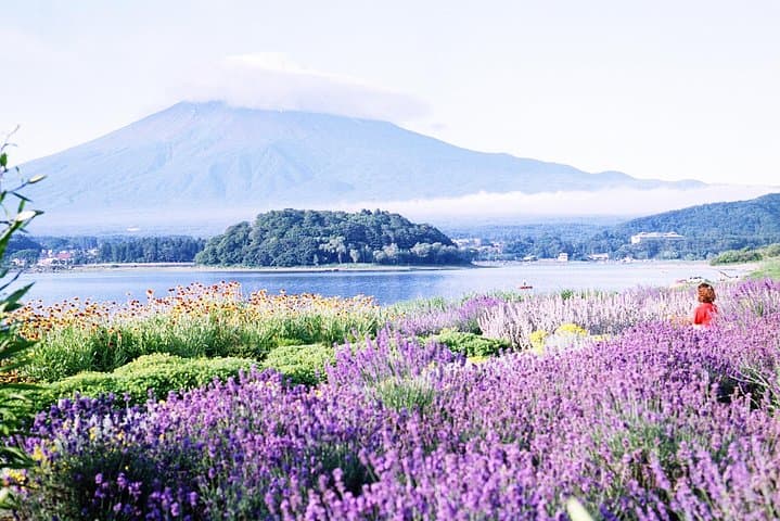 Barrier-Free Private Mt. Fuji Tour for Wheelchair Users — photo 4