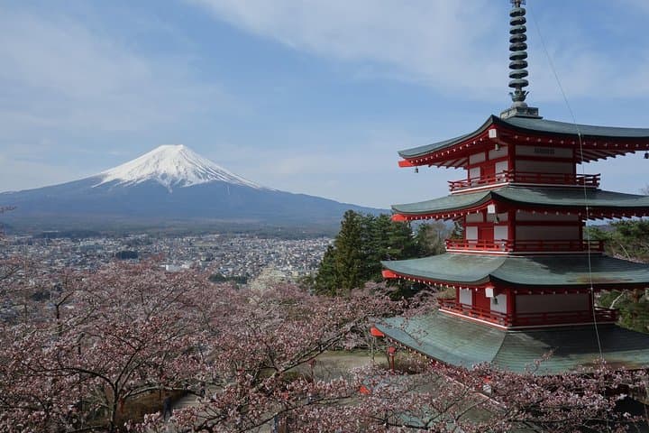 Barrier-Free Private Mt. Fuji Tour for Wheelchair Users — photo 6