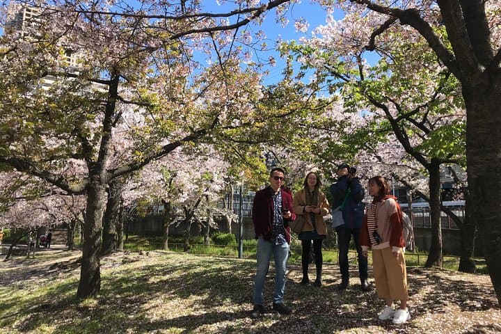 Sakura Picnic "Hanami" in Osaka - Spring Only — photo 9