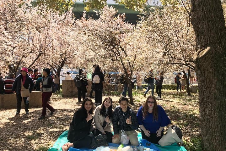 Sakura Picnic "Hanami" in Osaka - Spring Only — photo 13
