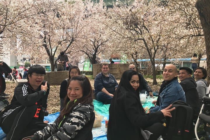 Sakura Picnic "Hanami" in Osaka - Spring Only — photo 10