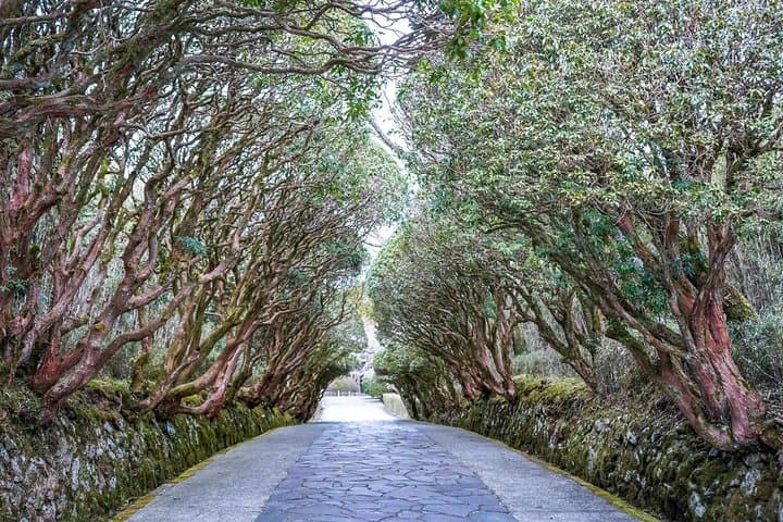 Private Tour - Hakone Day Trip! A Tour to Explore All Must-Sees! — photo 7