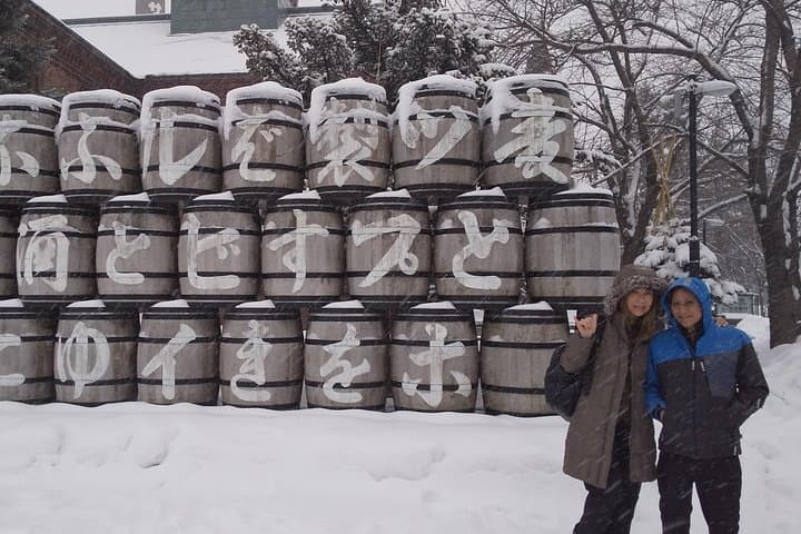 Sapporo 4hr Private Tour with Government Licensed Guide — photo 10