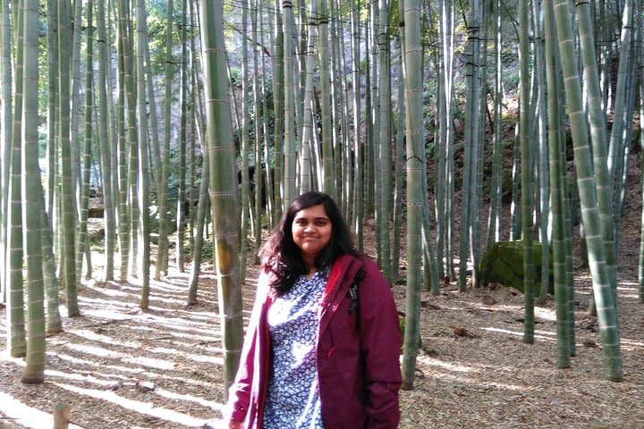 Kamakura 8 hr Private Walking Tour with Licensed Guide from Tokyo — photo 5
