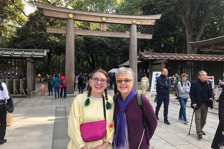 Tokyo 4hr Private Tour with Government-Licensed Guide — photo 8