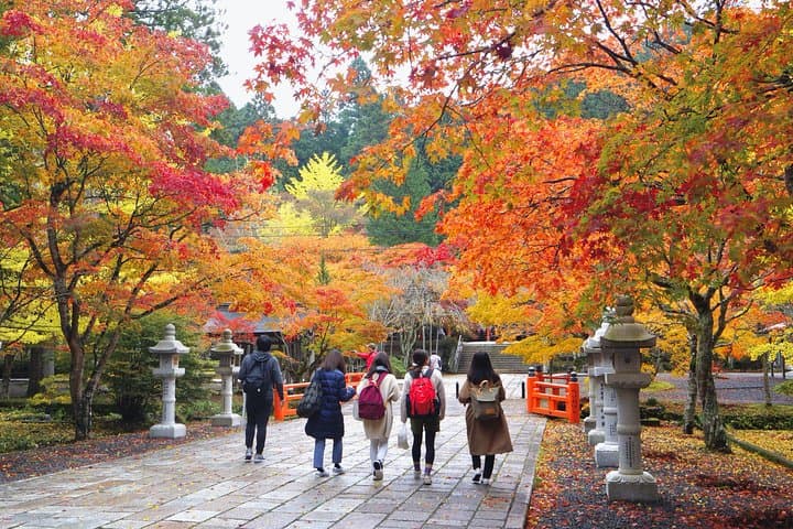 Koyasan Full-Day Private Tour — photo 7