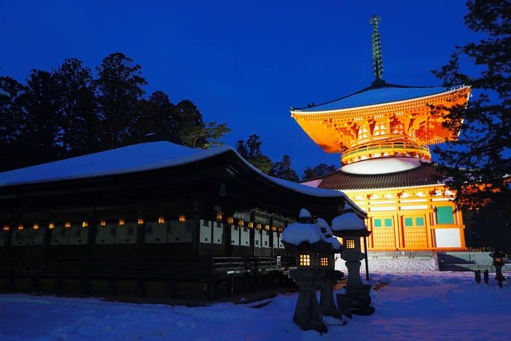 Koyasan Full-Day Private Tour — photo 9