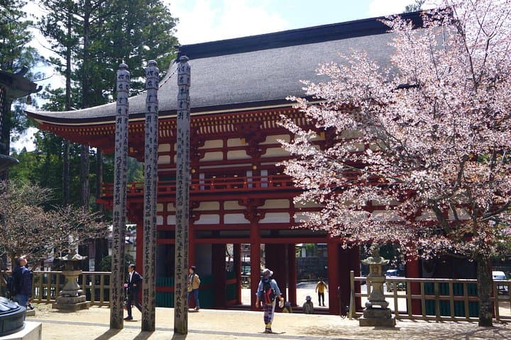 Koyasan Full-Day Private Tour — photo 14