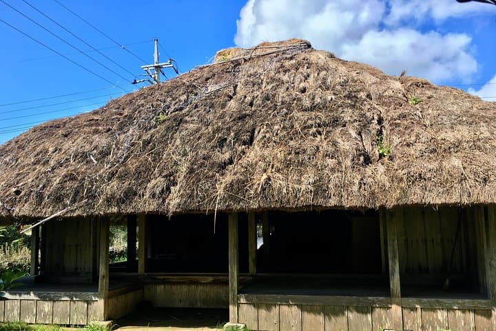 Iriomote Culture Discovery. Indigenous culture on Iriomote Island — photo 7