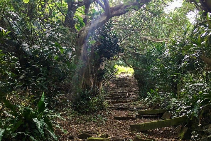 Iriomote Culture Discovery. Indigenous culture on Iriomote Island — photo 6