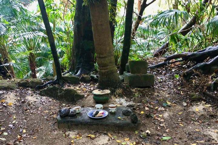 Iriomote Culture Discovery. Indigenous culture on Iriomote Island — photo 8