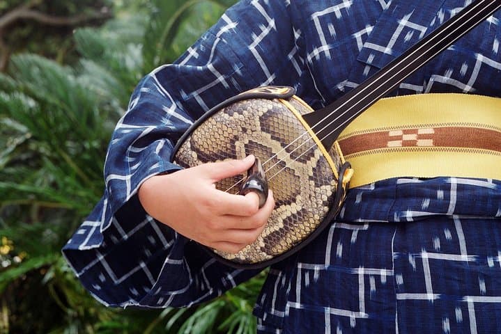 Iriomote Culture Discovery. Indigenous culture on Iriomote Island — photo 15