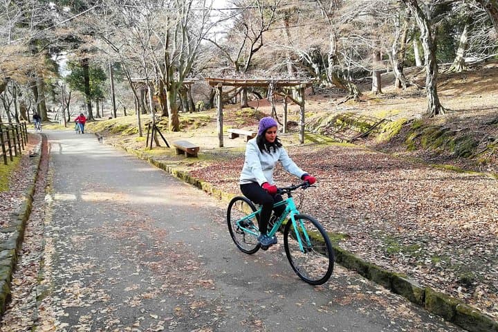 Nara - Private Family Bike Tour — photo 7