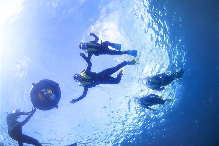 Private Snorkeling Tour (Near Churaumi Aquarium) – Free Photos — photo 4