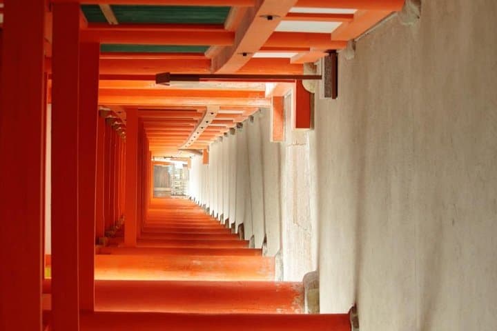 All must-sees in 3 hours - Nara Park Classic Tour! From JR Nara! — photo 7
