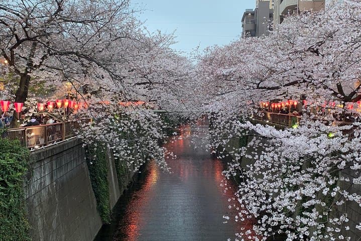 Best of Tokyo Private Custom Tour: Tsukiji, Asakusa & Meiji-jingu — photo 12