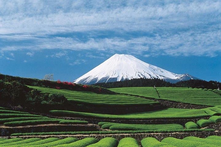 Shizuoka/Shimizu Mt Fuji View 6 hr Private Tour: Guide Only — photo 3