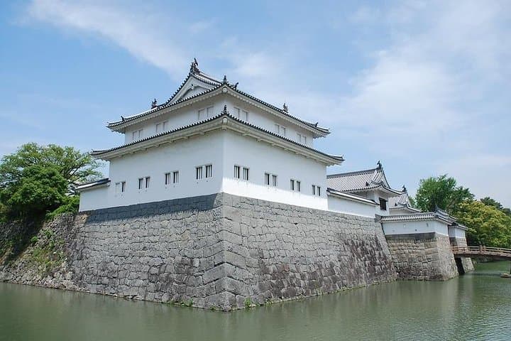 Shizuoka/Shimizu Mt Fuji View 6 hr Private Tour: Guide Only — photo 4