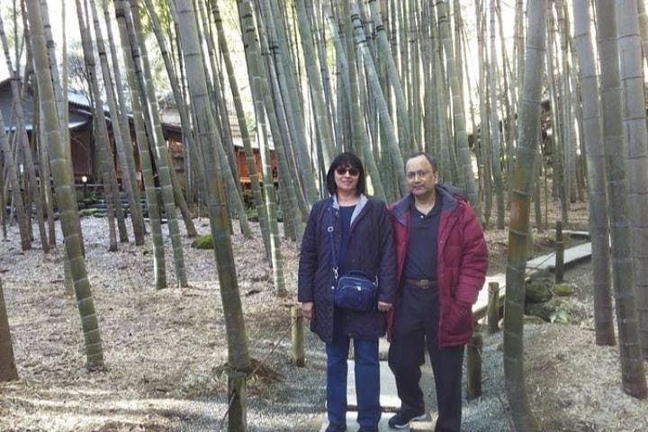 Kyoto Japanese Garden Lover's Private Tour with Government-Licensed Guide — photo 12