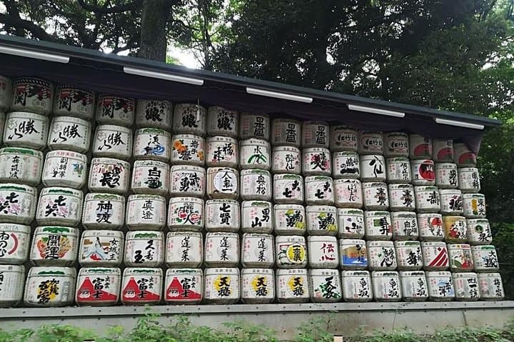 Cherry Blossom Highlights, Asakusa, Ueno & Meiji Shrine — photo 7
