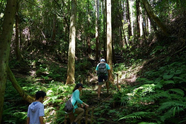 Full Day Tour on Notojima Island — photo 4